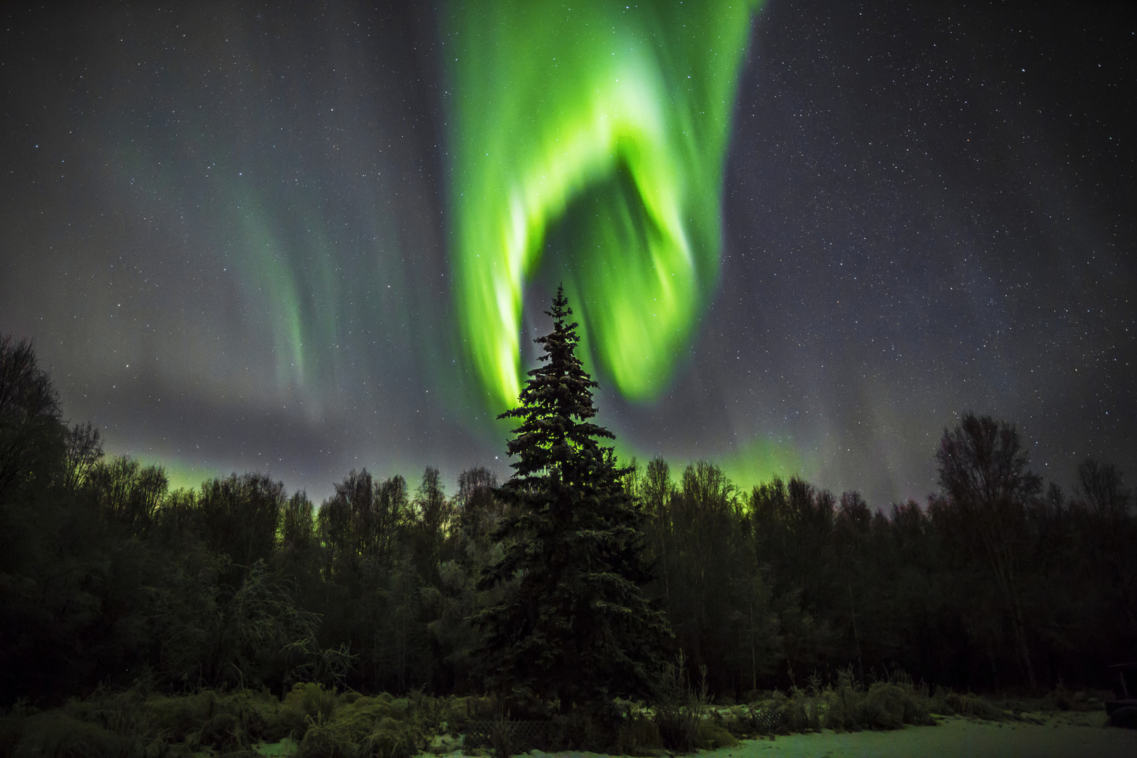 Aurora in Alaska