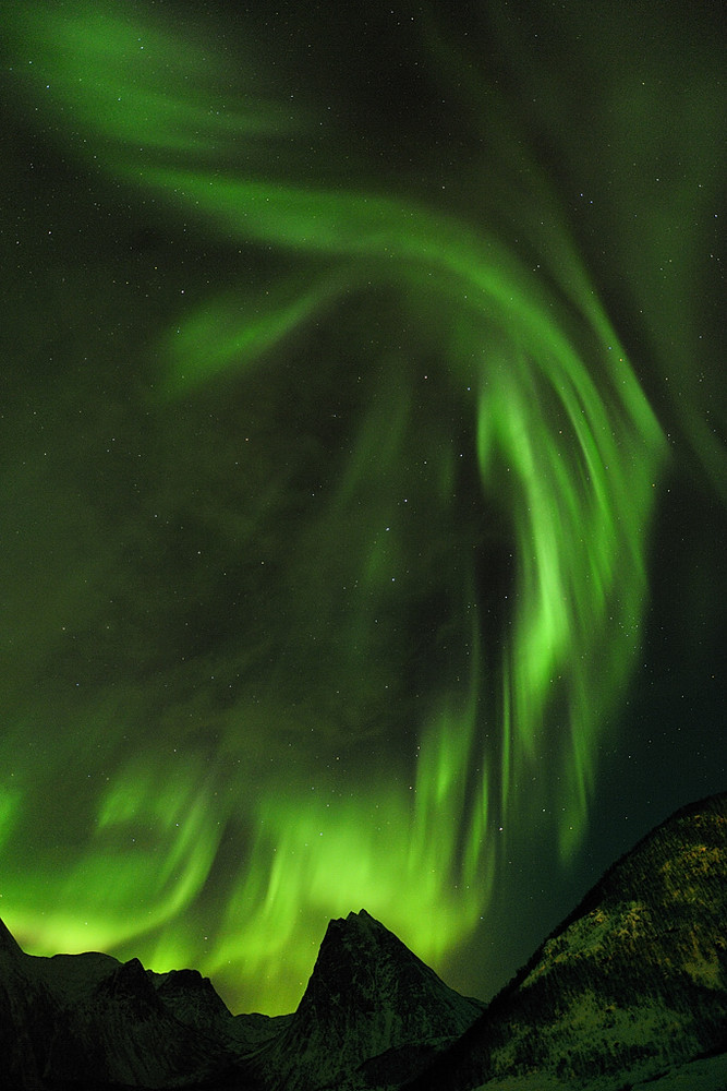 Aurora in Selfjorden