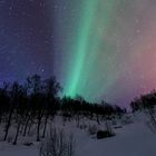 Aurora Show