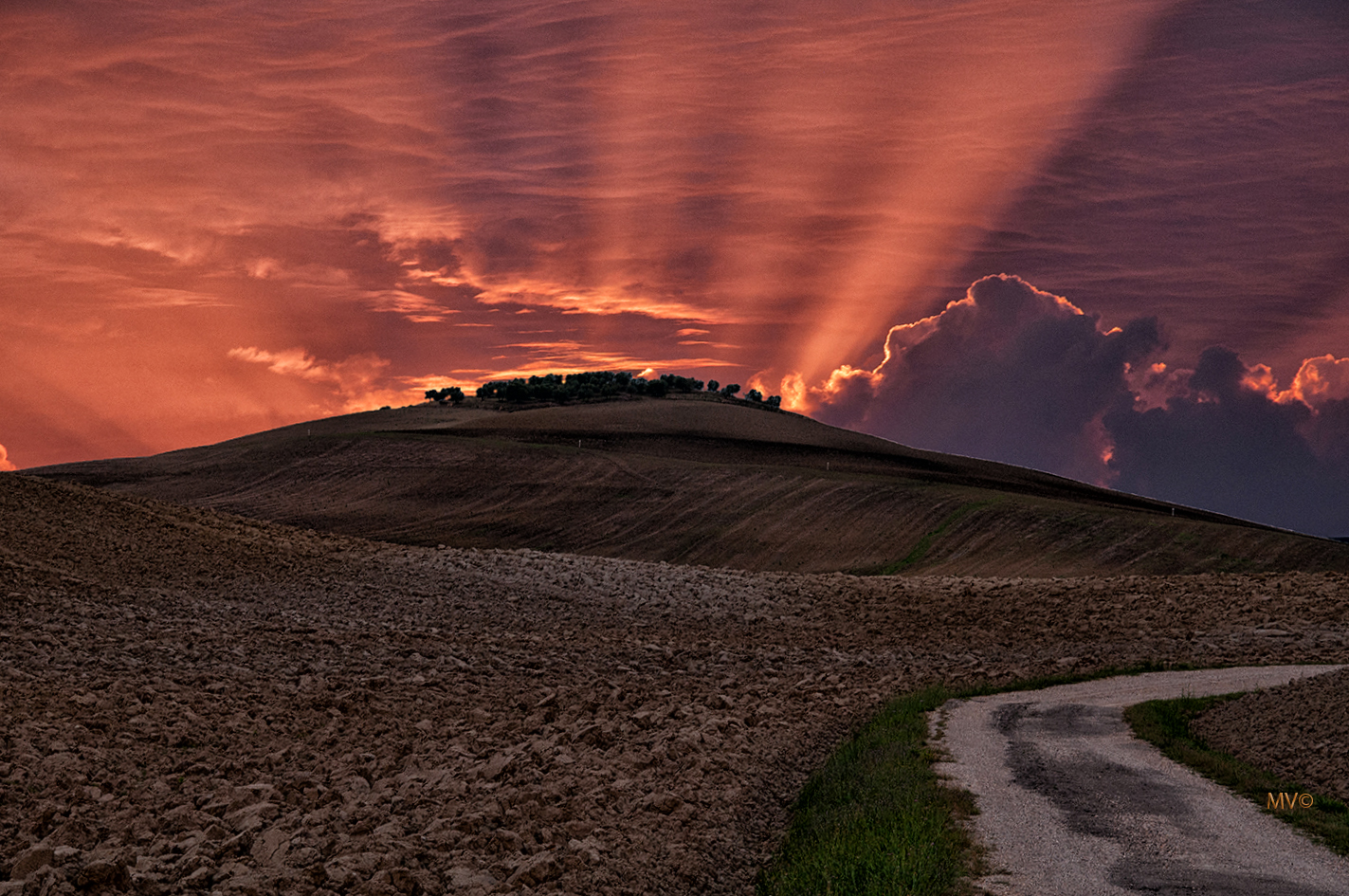 Aurora sul poggio