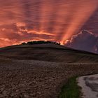 Aurora sul poggio