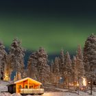 Aurora über dem Winterwald