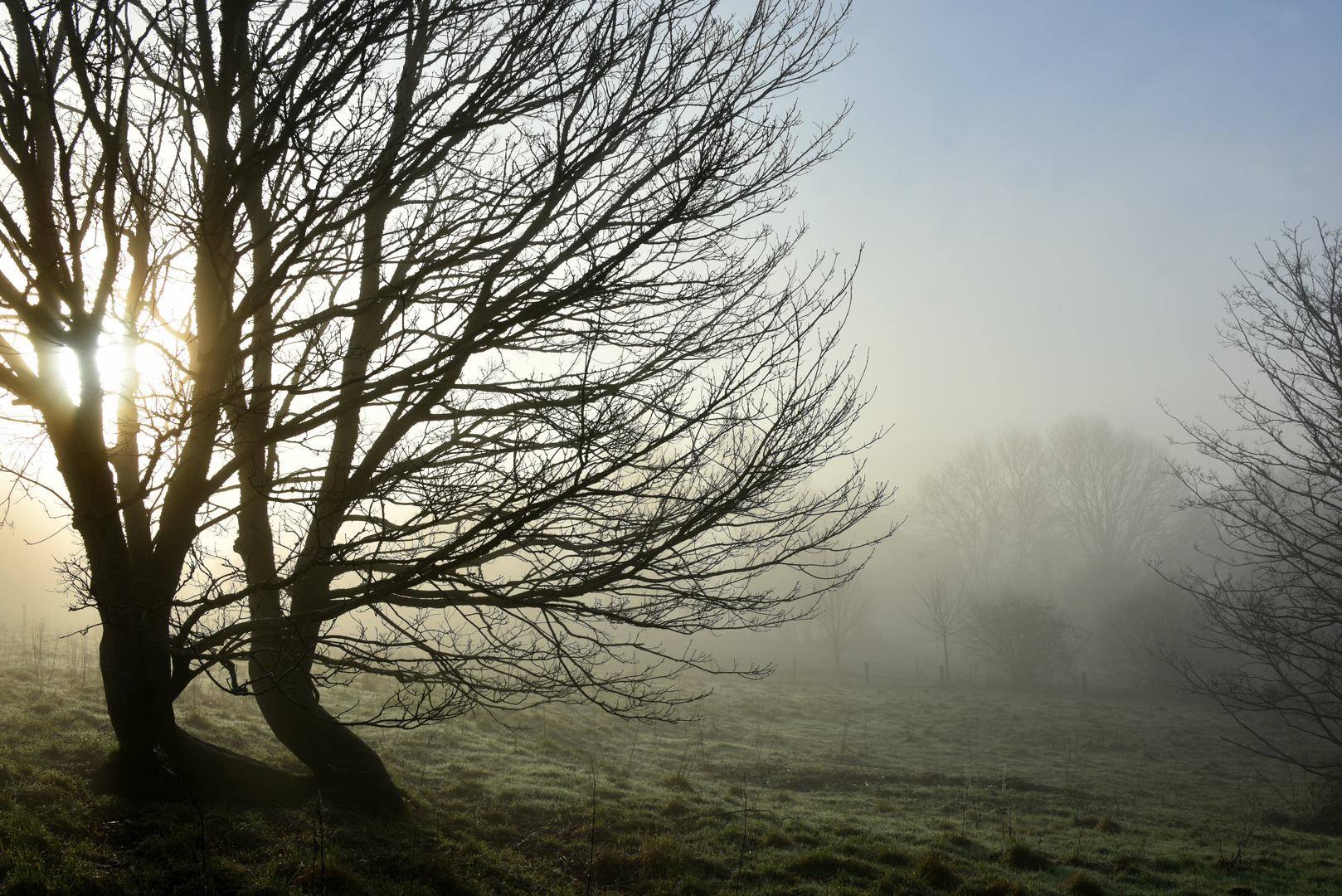 Aurore brumeuse sur le Cotentin02