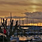 aurore dorée sur le cap d antibes ....