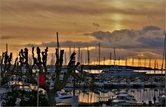 aurore dorée sur le cap d antibes ....