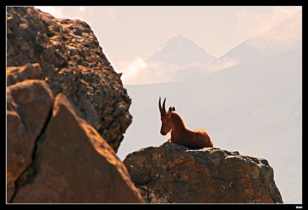 ...Aurore en haute montagne...