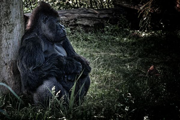 Aus aktuellem Anlass