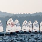 AUS AKTUELLEM ANLASS EIN ALTES FOTO MIT MÜGGELTURM VOM MÜGGELSEE AUS GESEHEN