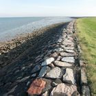 aus aktuellem Anlaß - ob der wohl halten wird? - Oktober auf der Hallig Hooge (34) - 546