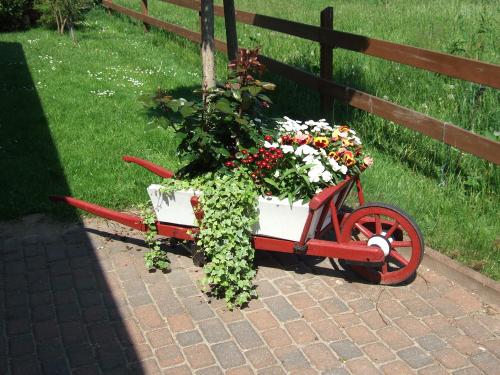 Aus alt mach neu Foto &amp; Bild landschaft, garten