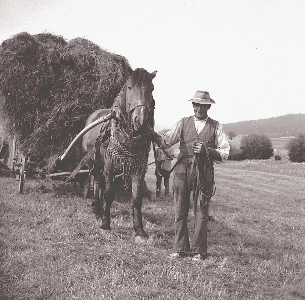 aus alten Tagen Foto & Bild erwachsene menschen, tiere, haustiere