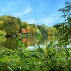 Aus Blatt-Grün wird BUNT