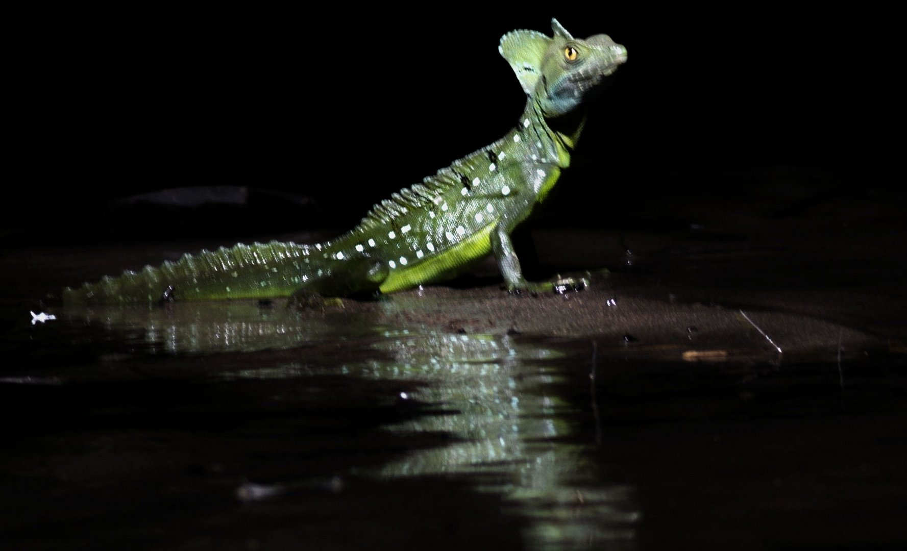 aus Costa Rica