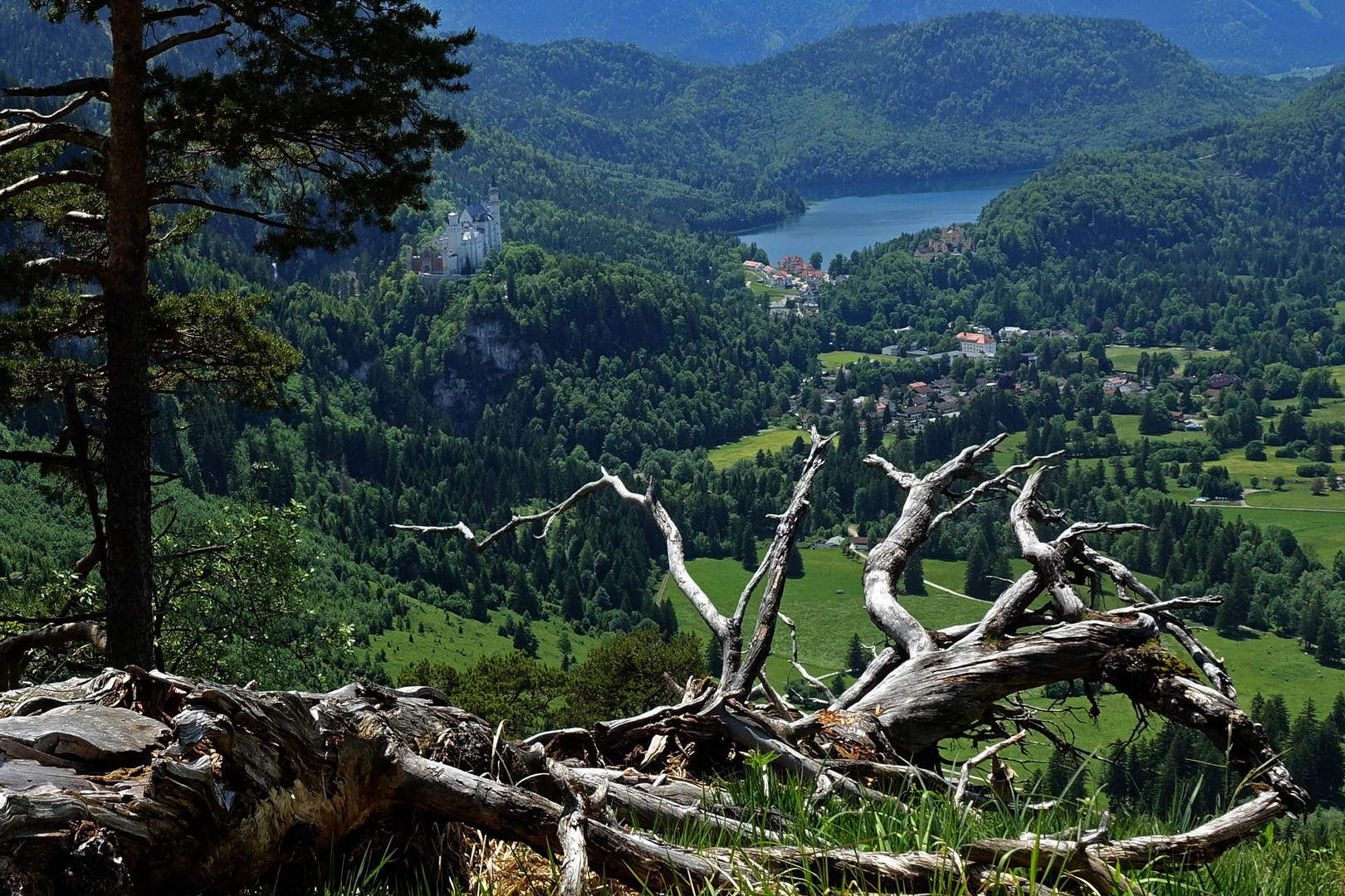 aus dem Allgäu