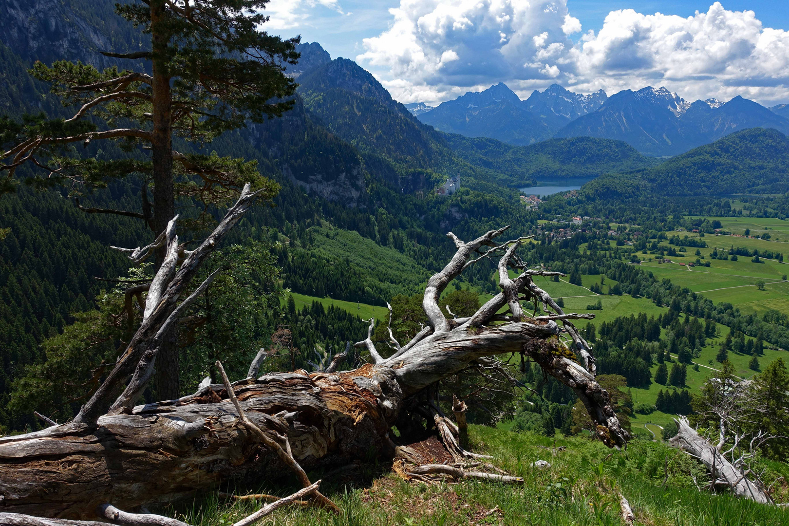 aus dem Allgäu II