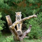 Aus dem Allwetterzoo Münster (Bild 1)