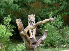 Aus dem Allwetterzoo Münster (Bild 1)