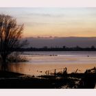 " Aus dem Archiv - Hochwasser im Reeser Wardt -2- "