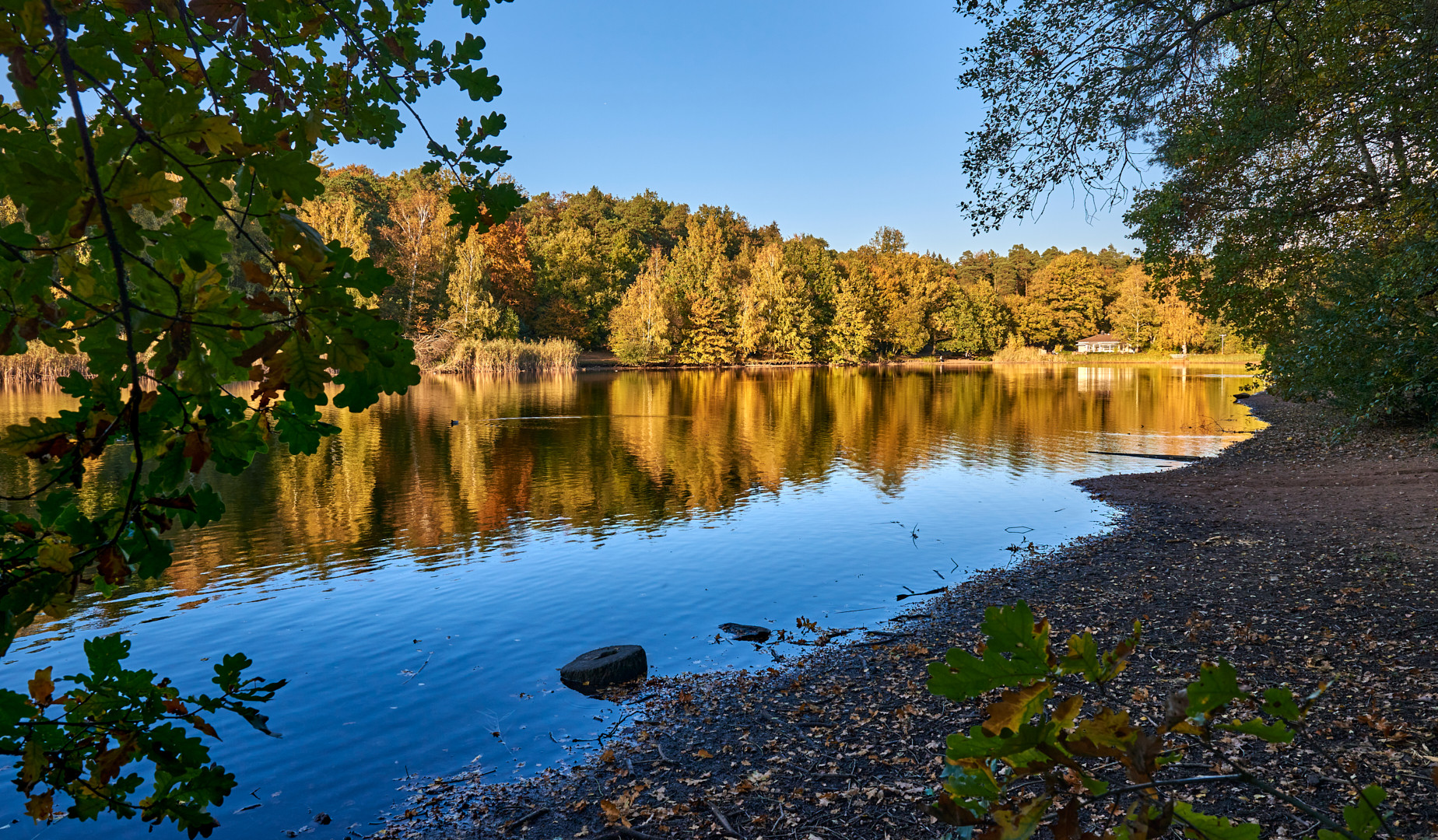 Aus dem Archiv, leider hat sich der Herbst dieses Jahr so gut wie gar nicht von seiner schönsten...