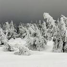 Aus dem Archiv: Von Quedlinburg auf den Brocken (4)