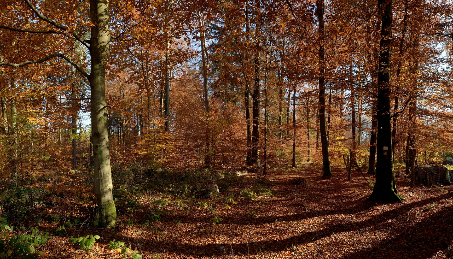 Aus dem Archiv. Warte immer noch auf den goldenen Oktober...