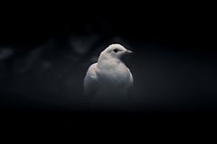 ... aus dem Auge des Betrachters heraus gesehen ...