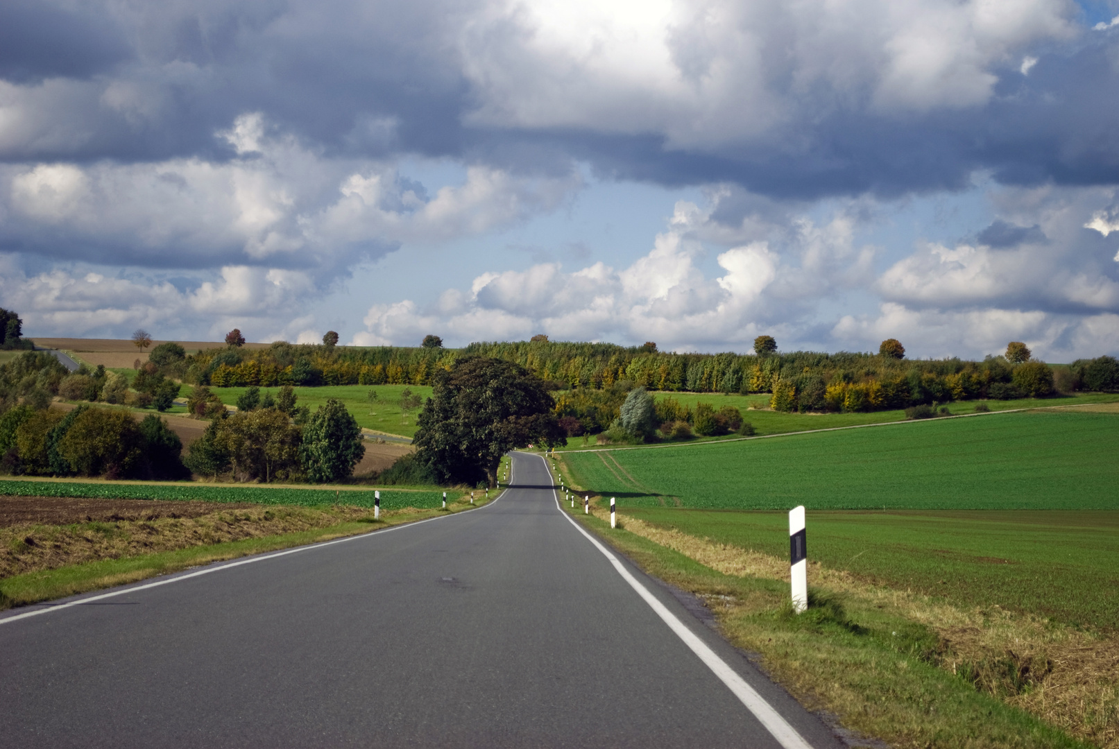 Aus dem Auto