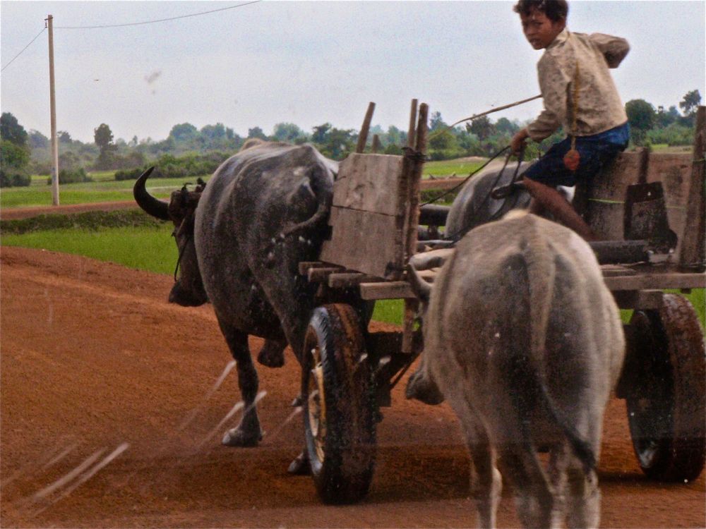 aus dem auto heraus, cambodia 2010