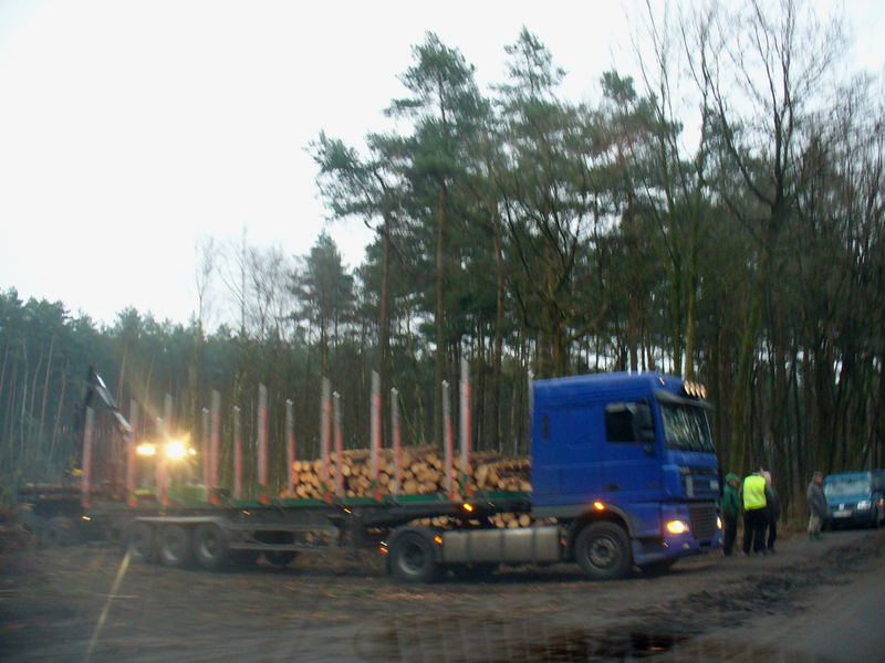 aus-dem-auto-heraus im februargrau