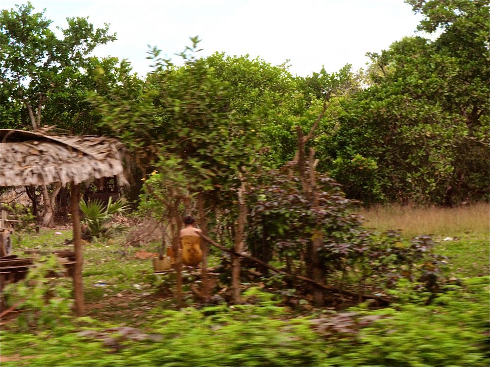 aus dem auto heraus V, cambodia 2010