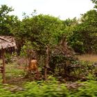 aus dem auto heraus V, cambodia 2010