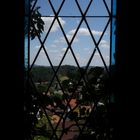 aus dem Burgfenster