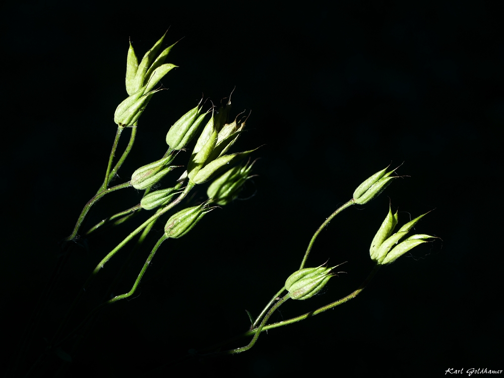 Aus dem Dunkel ans Licht