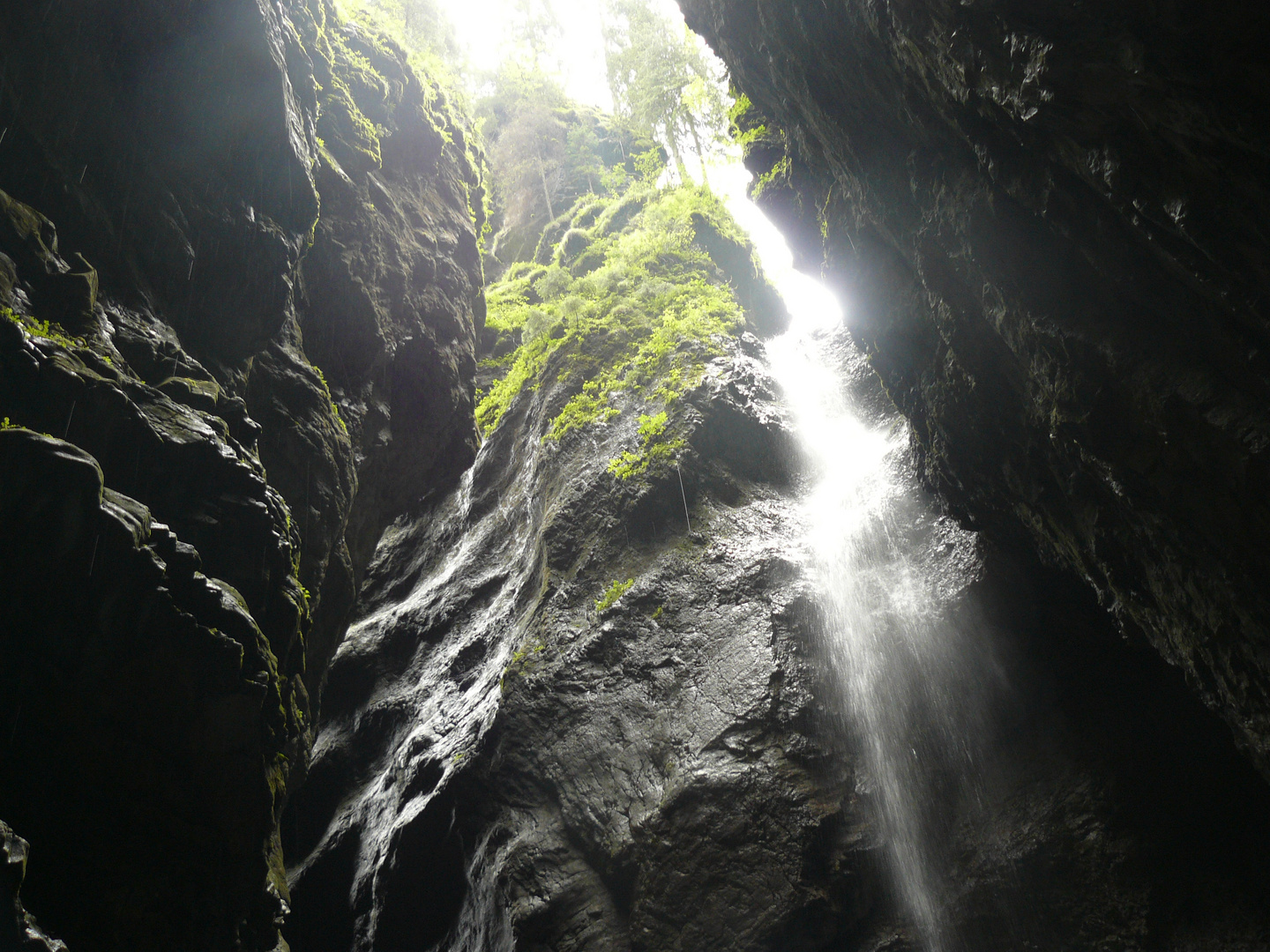 Aus dem Dunkel in das Licht