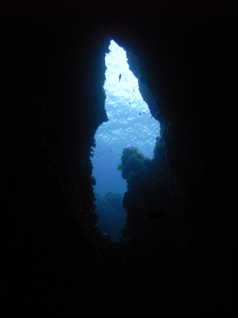 Aus dem Dunkel ins Licht