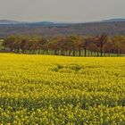 Aus dem Elbtal von Pirna kommt die Straße hoch ins Osterzgebirge...