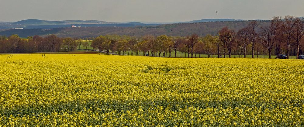 Aus dem Elbtal von Pirna kommt die Straße hoch ins Osterzgebirge...