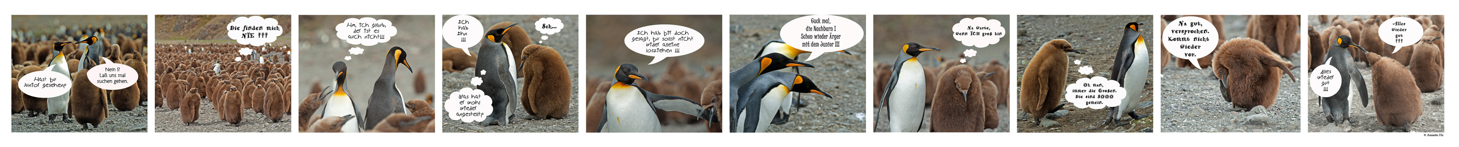 Aus dem Familienleben der Familie Pingi