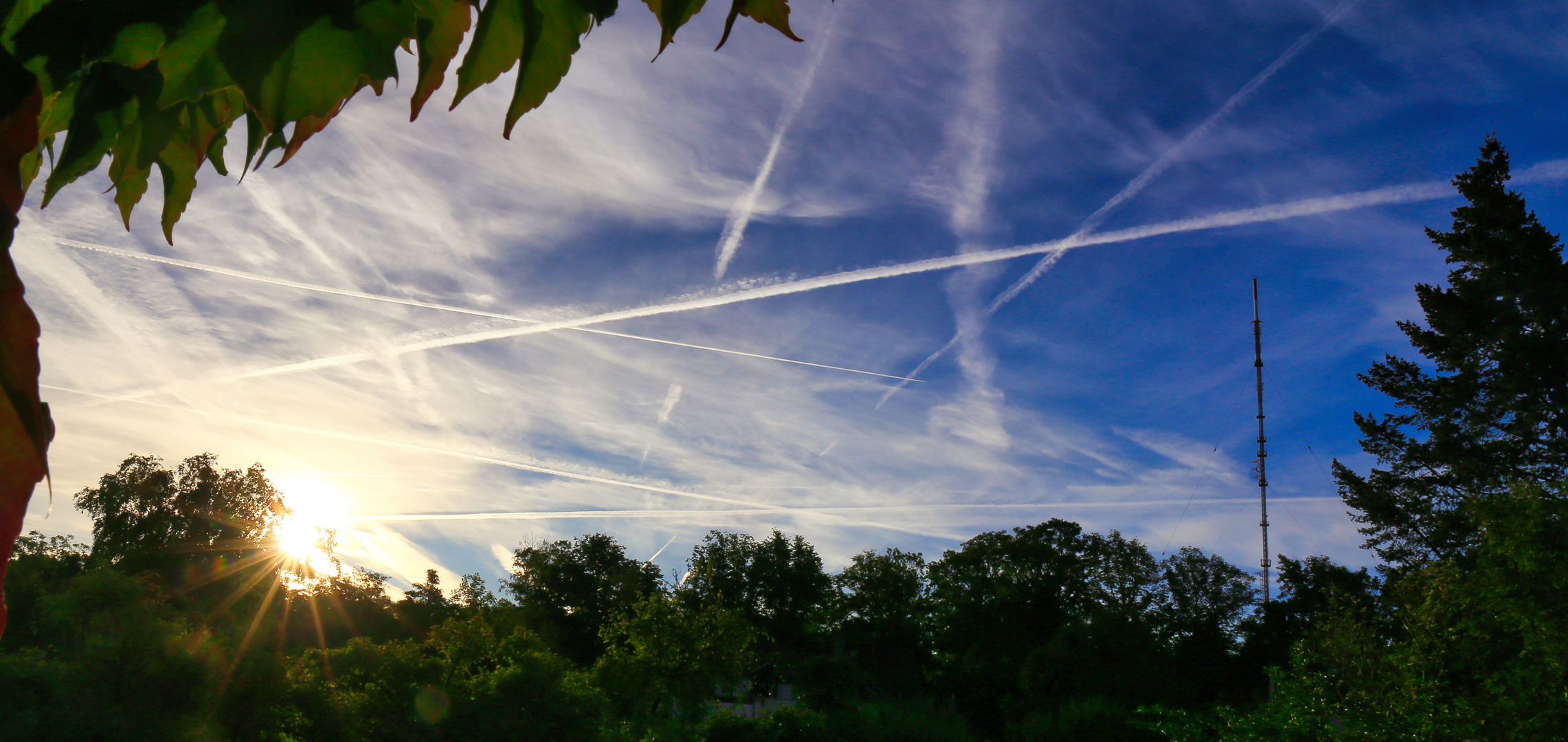 Aus dem Fenster