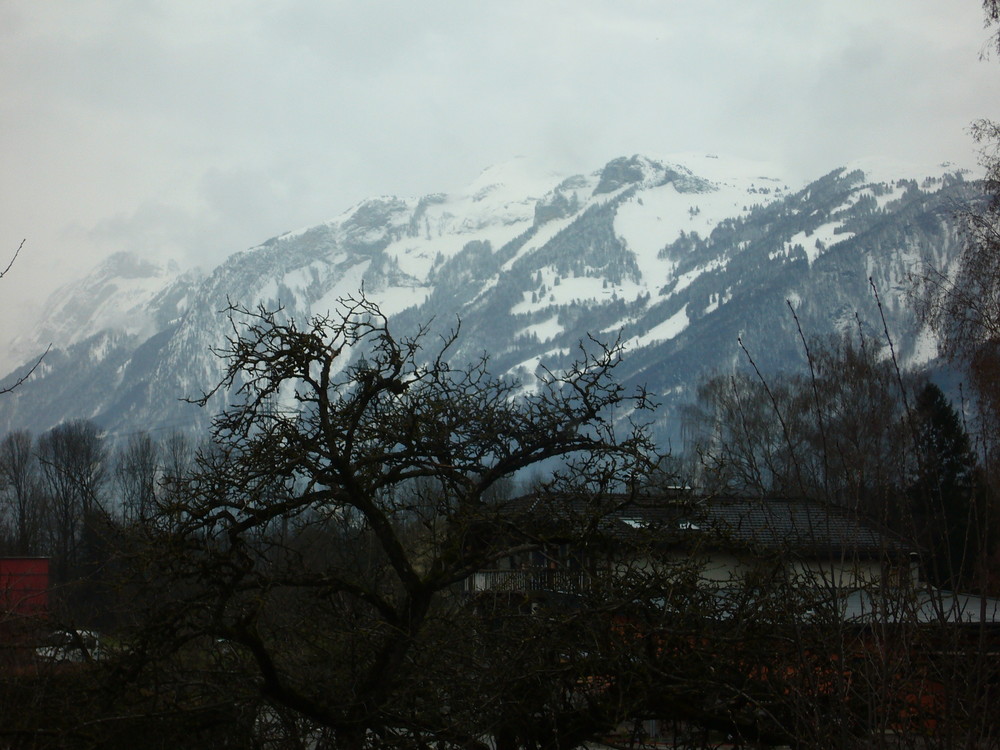 Aus dem Fenster