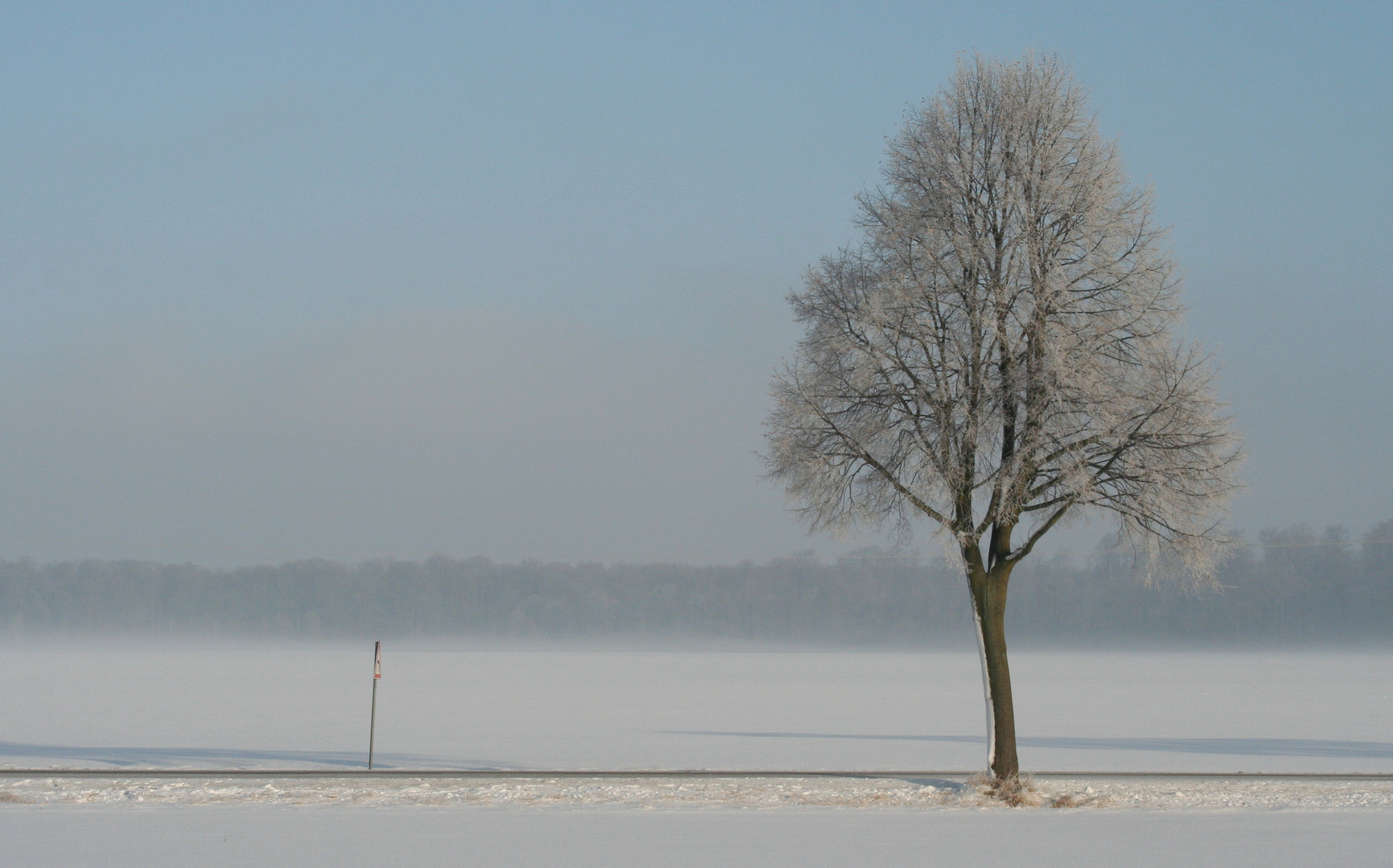 Aus dem Fenster