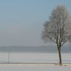 Aus dem Fenster