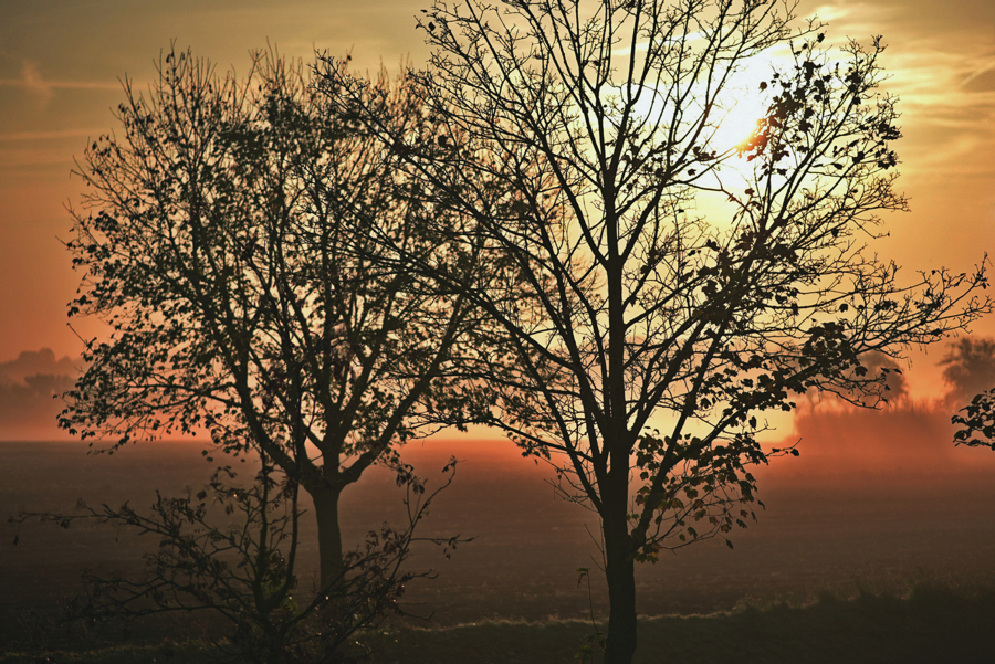 aus dem fenster