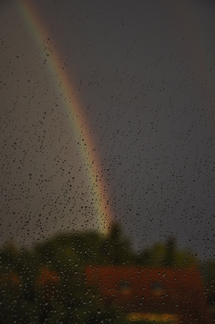 Aus dem Fenster