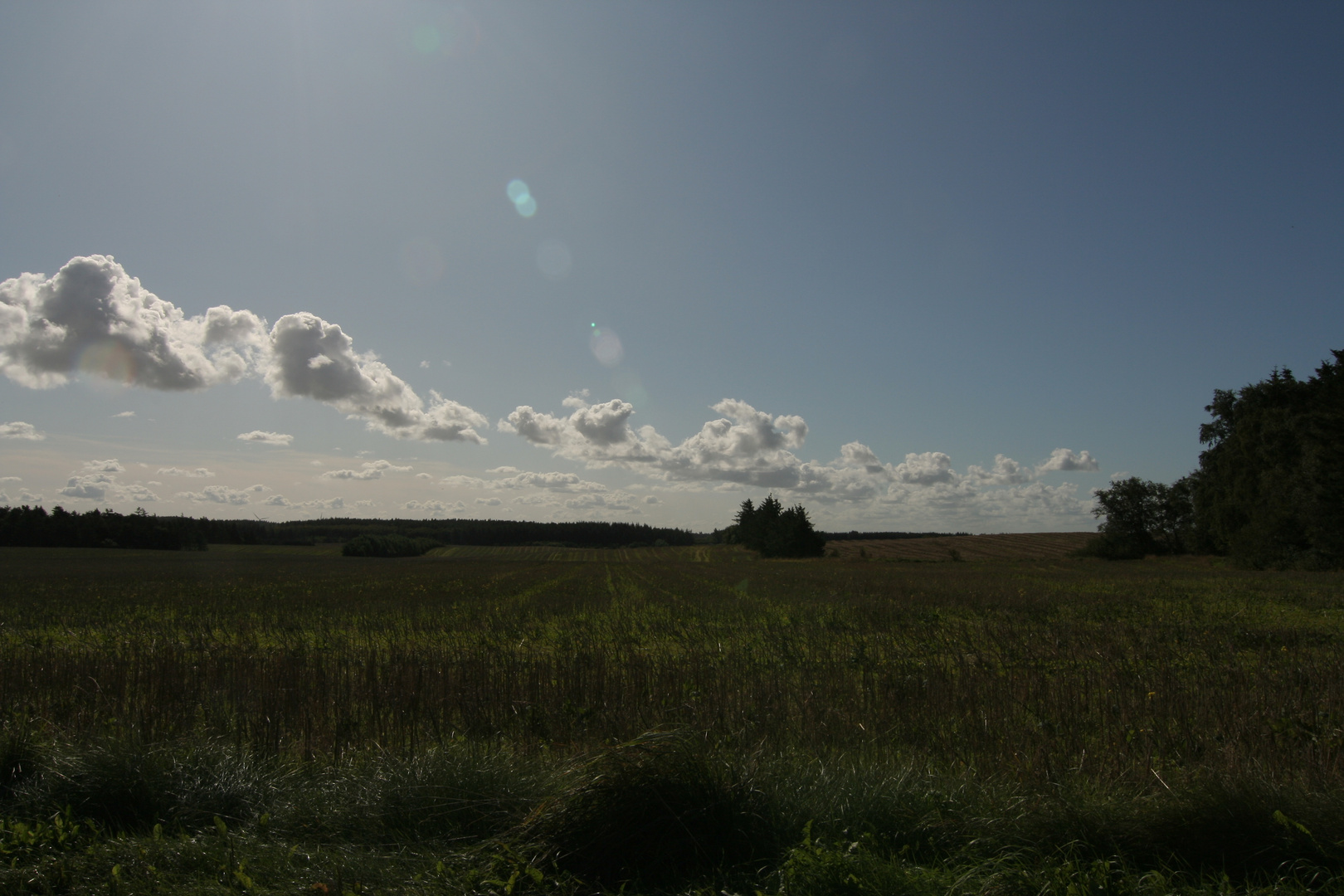 aus dem Fenster