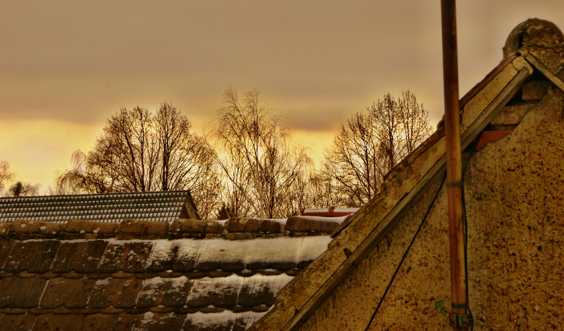 aus dem Fenster geguckt