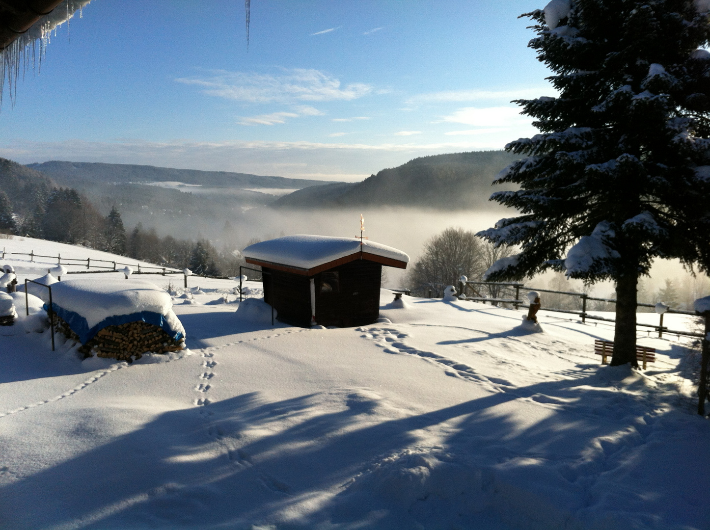 ... aus dem Fenster geschaut..