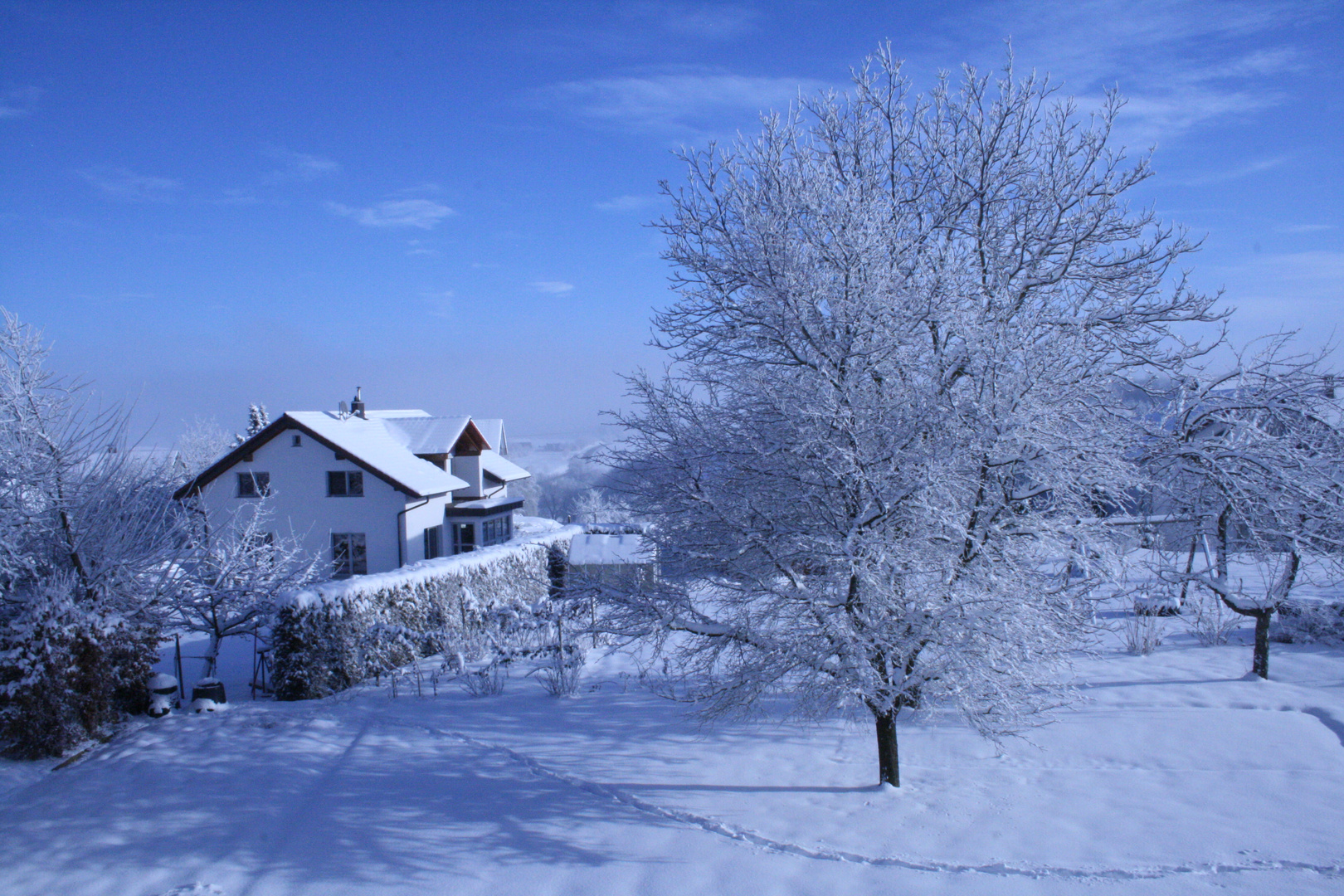 Aus dem Fenster geschaut und gefreut