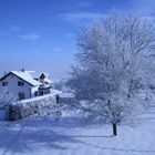 Aus dem Fenster geschaut und gefreut