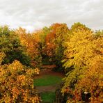 Aus dem Fenster - Herbst